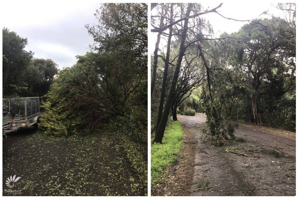 Bass Point reserve will be closed to allow for fallen trees to be removed & roads cleared. Picture: Shellharbour Council