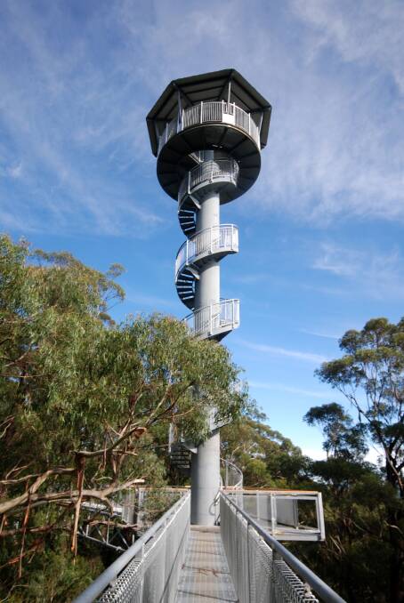 Illawarra Fly Treetop Walk is a popular tourism destination.