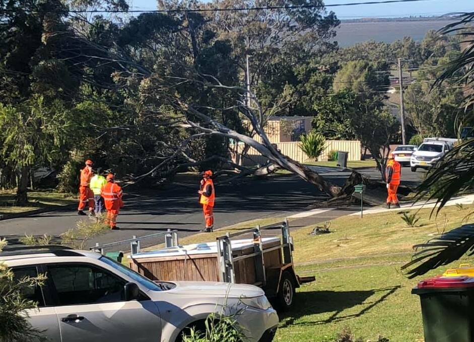 A tree down in Kurrawa Crescent in Koonawarra, Saturday morning. Picture: Erin Houghton 