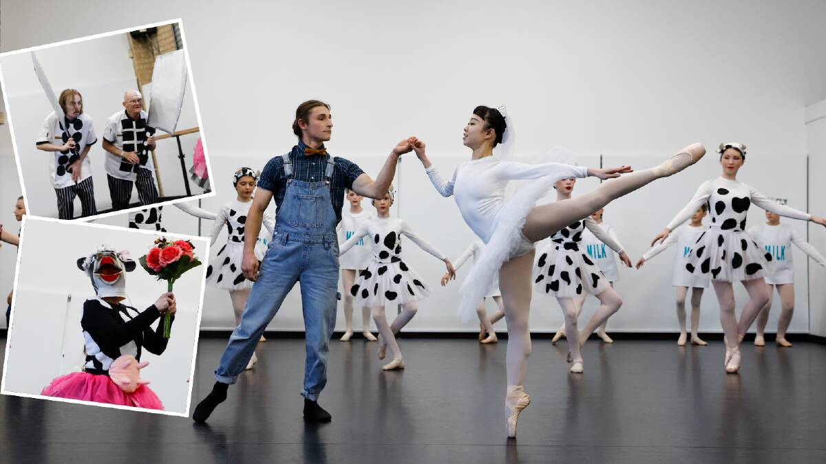 Principal dancers Casey Bray and Tina Hsieh (centre) with cast on Sunday, perfecting their poise in dress rehearsals for Swan Lake ... But With Cows. Pictures by Anna Warr