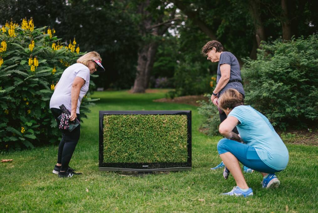 Images of Wollongong City Council's 2021 exhibition, Sculptures in the Garden. Picture: Tad Souden