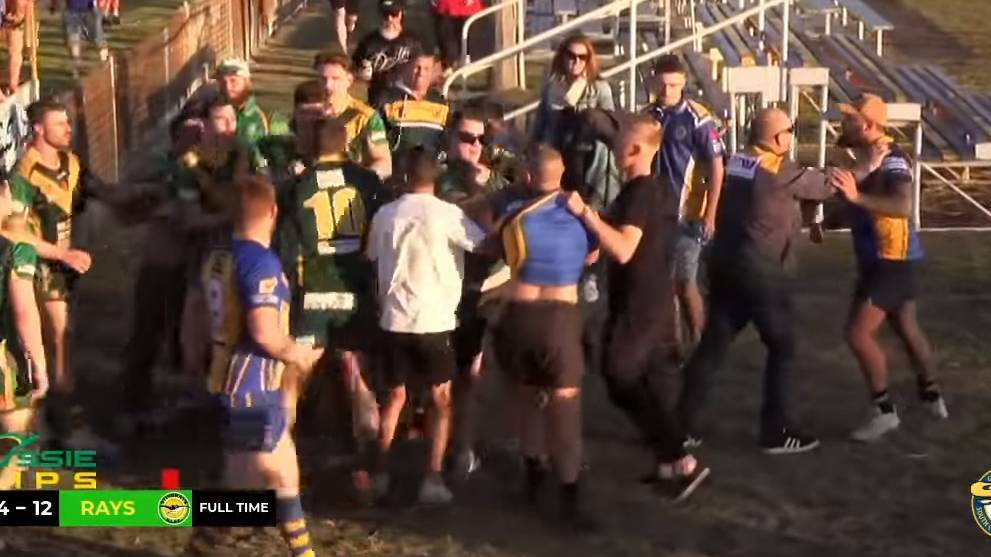 Seven Players have been charged over a brawl that followed last Saturday's Group Seven match between Warilla and Shellharbour Stingrays.