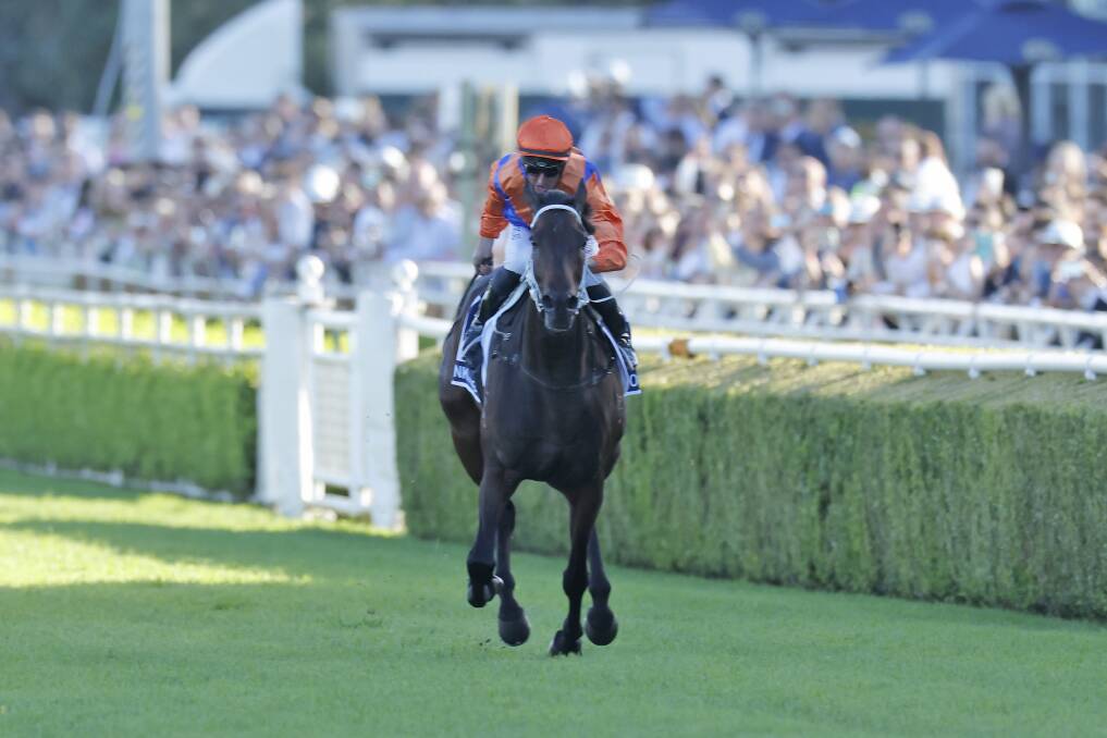 EPIC: Nash Rawiller rides Think it Over to victory in the Queen Elizabeth Stakes. Picture: Getty Images
