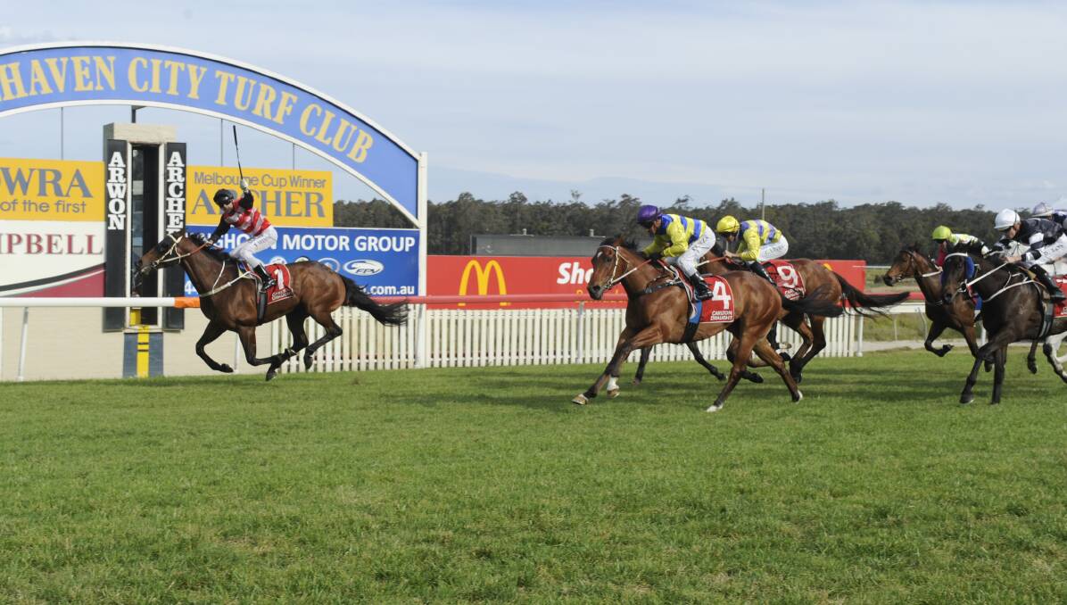 RISE TO THE OCCASION: Chief In Command led home a Paul Murray trained trifecta in the Mollymook Cup on Sunday. Picture: bradleyphotos.com.au