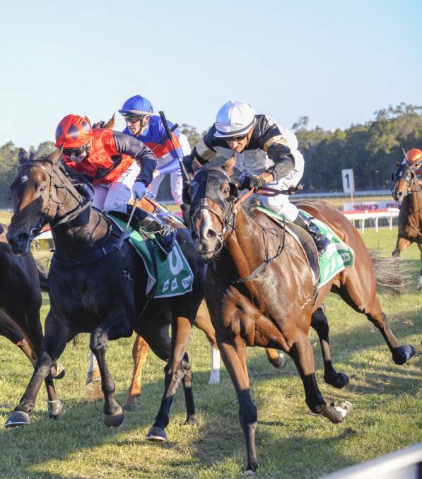 DOWN THE OUTSIDE: Jockey Jeff Penza brings the Robert and Luke Price trained Curata Princess home best out wide to win the Nowra Cup. Picture: bradleyphotos.com.au