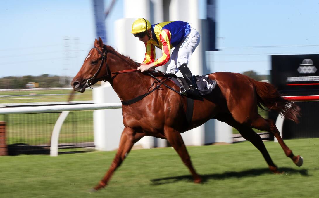 IMPRESSIVE: Rory Hutchings rode Speith to a dominant victory at Kembla Grange on Tuesday. Picture: SYLVIA LIBER