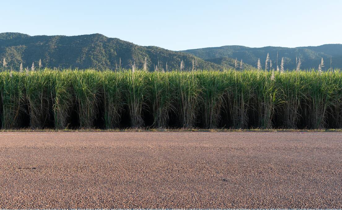 Driving past sugarcane plantations on the Bruce Highway in North Queensland

