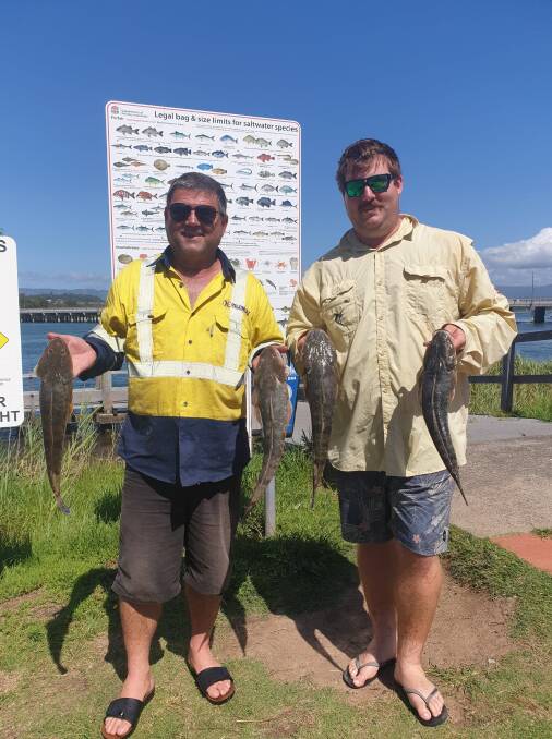 Success: Terry and Joshua Liaropoulos with Lake Illawarra flathead.