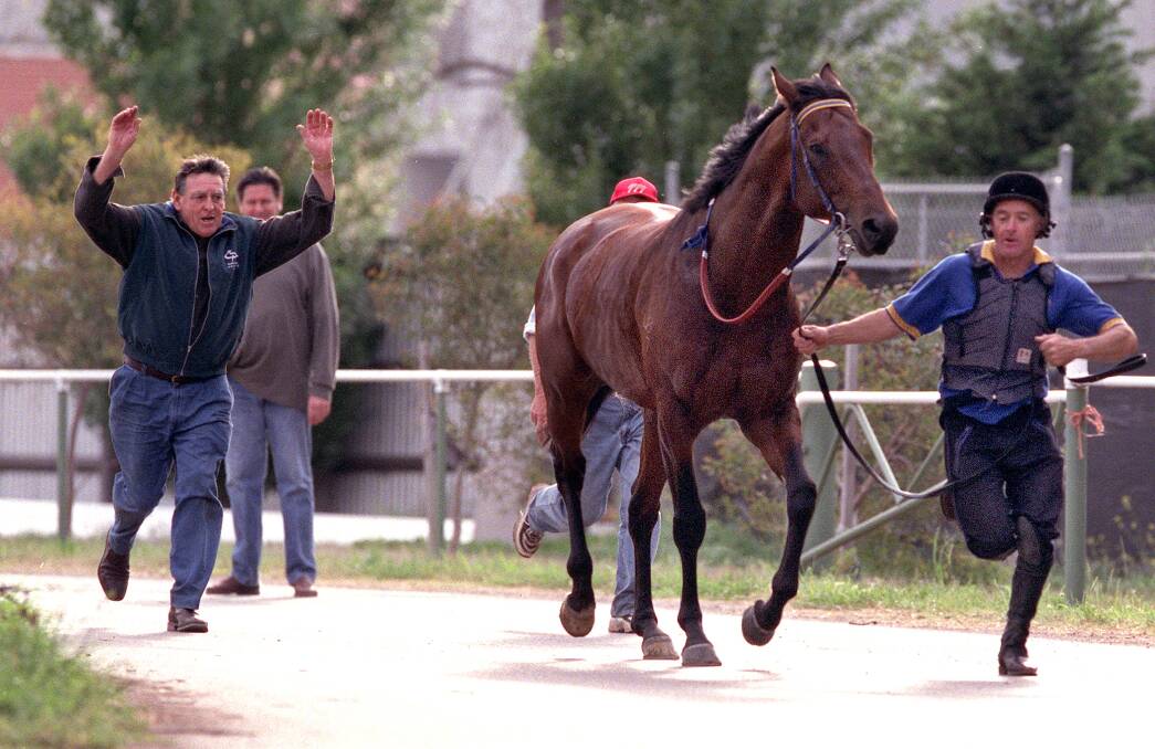Scratched: Trainer Bede Murray (left) and strapper Col Davies try to prove Universal Prince's fitness the day before the 2001 Melbourne Cup. Picture: Pat Scala