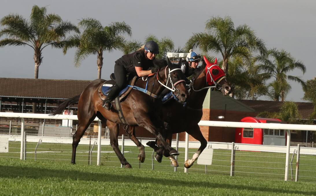 Ticket to ride: Trackwork jockey Dianne Pinney on Think It Over (left) at Kembla Grange on Tuesday. Picture: Robert Peet