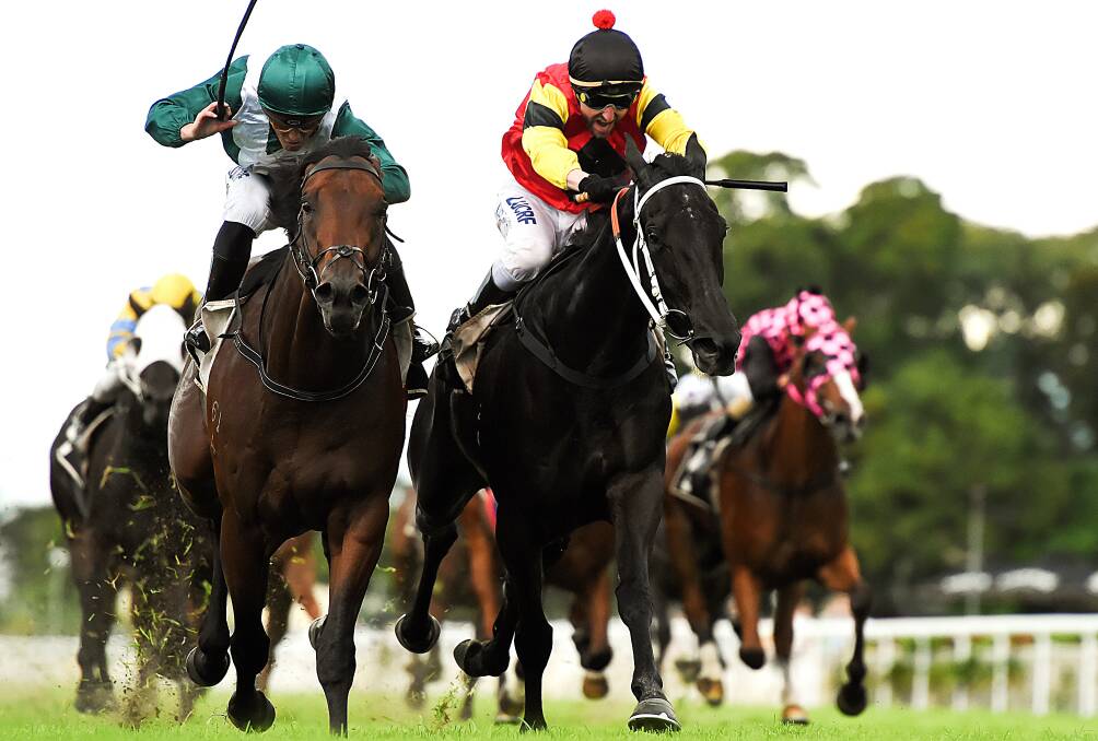 Riding high: Dark Dream (right) will race in the Group 1 Queensland Derby on Saturday.  Picture: AAP Image/Albert Perez