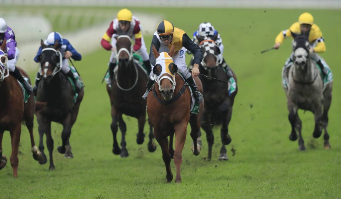 Seas parting: The Chris Waller-trained Star Of The Seas wins at Randwick in June. Picture: Mark Evans/Getty Images
