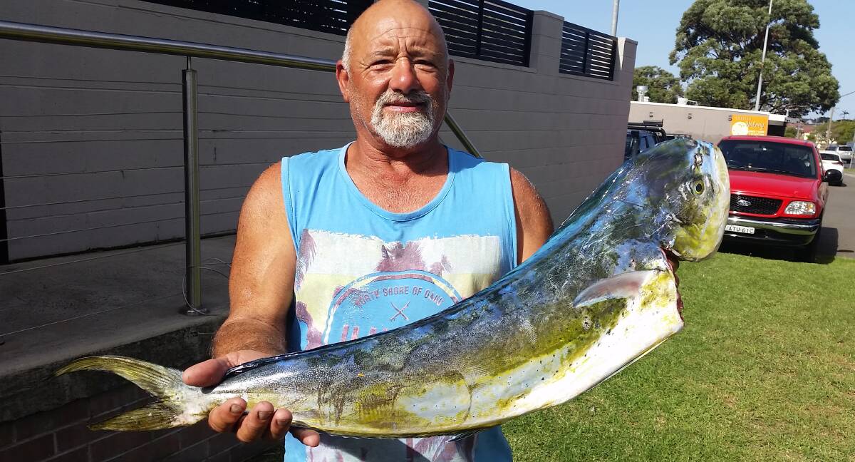 Reel it in: Joe Sciberras with an 3.2kg dolphin fish.