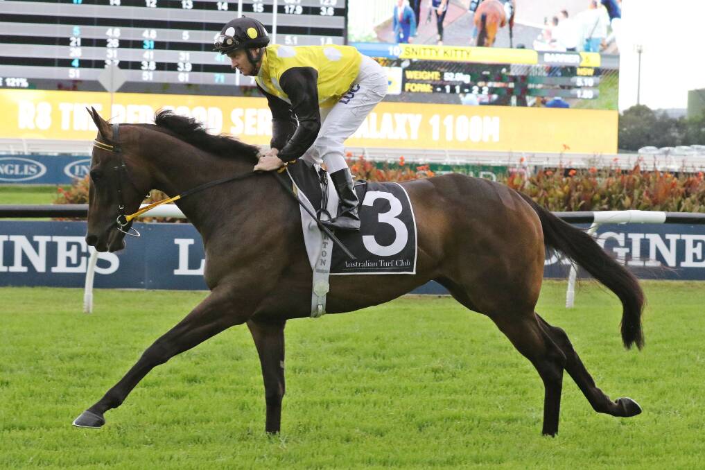 Chance: Brenton Avdulla on In Her Time at Sha Tin. Picture: HKJC