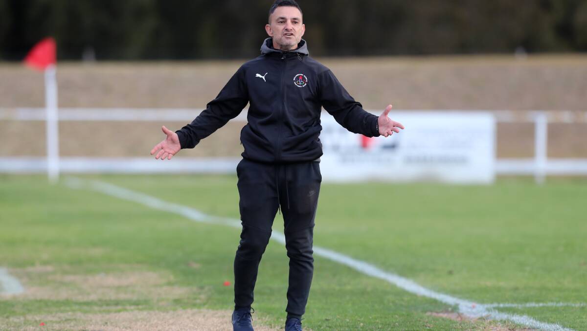 Up for the Cup: Wollongong Olympic coach George Antoniou.
