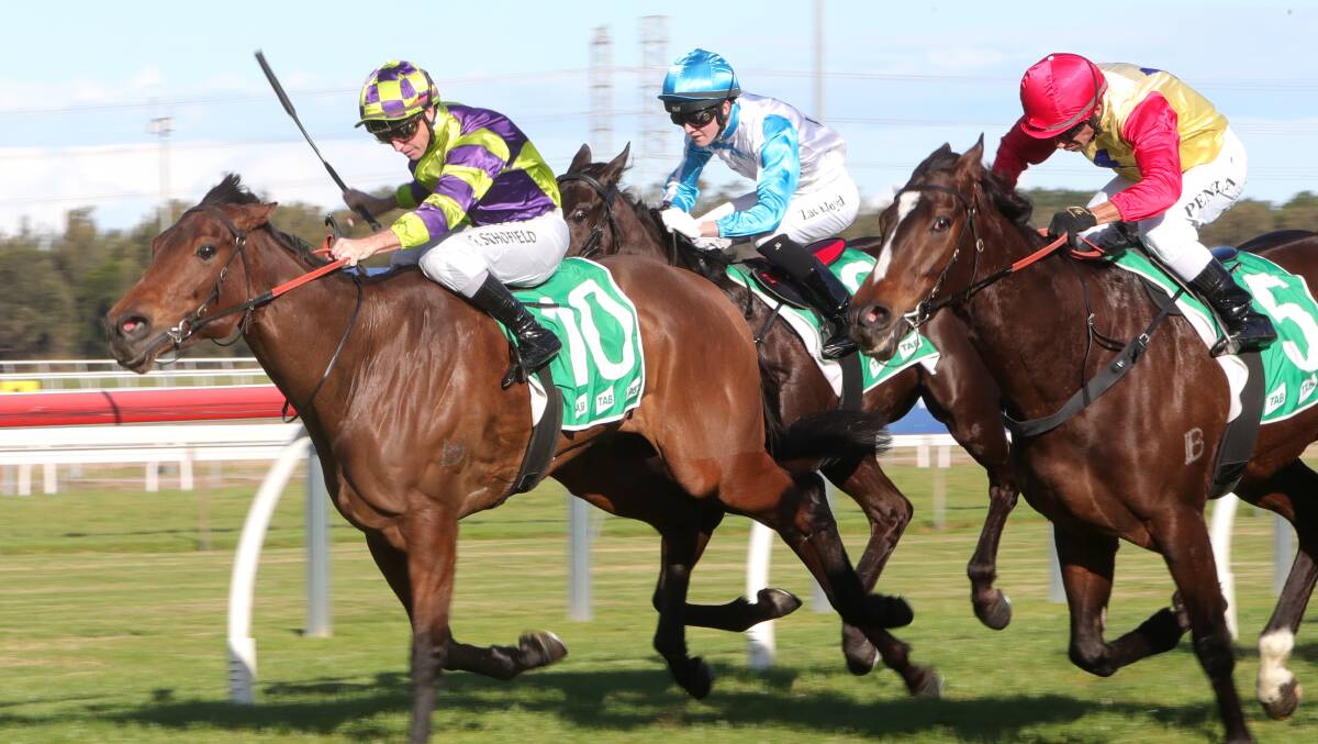 Need for speed: Burning Need (left) holds off Herb to win a BenchMark 64 at Kembla Grange. Picture: Sylvia Liber