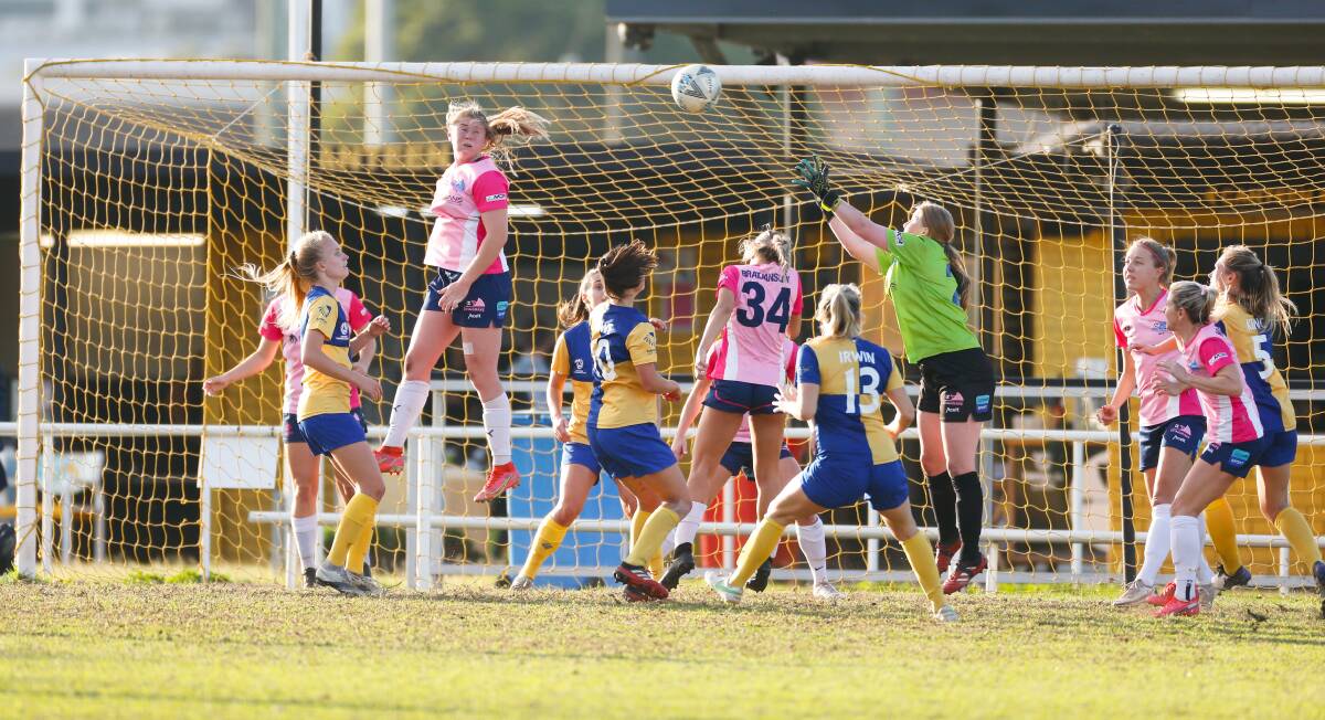 Waiting game: The Illawarra Stingrays' season was cut short due to COVID restrictions. Picture: Anna Warr