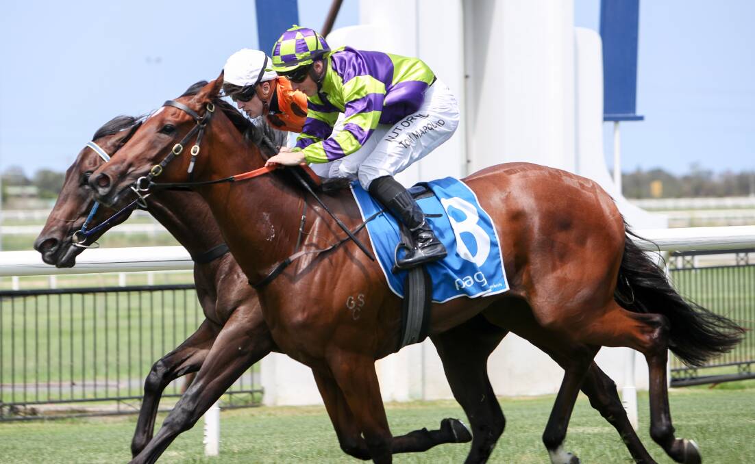 On the move: Stolen Glance wins at Kembla Grange on Saturday. Picture: Adam McLean