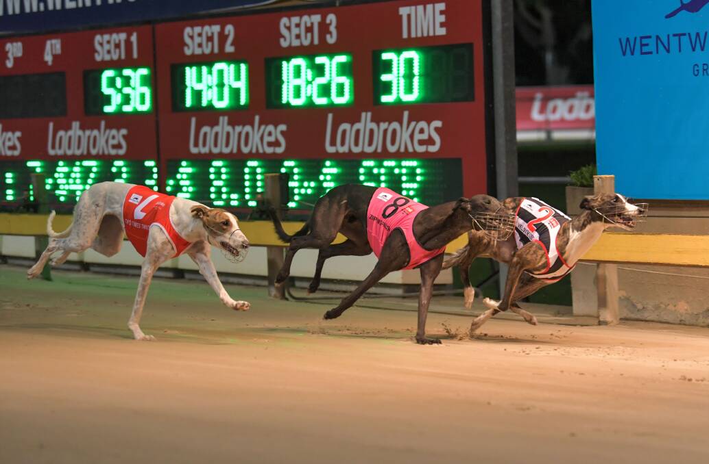Success: Velocity Liberty (right) clings on to win the Group 1 Peter Mosman Classic Final on Saturday.