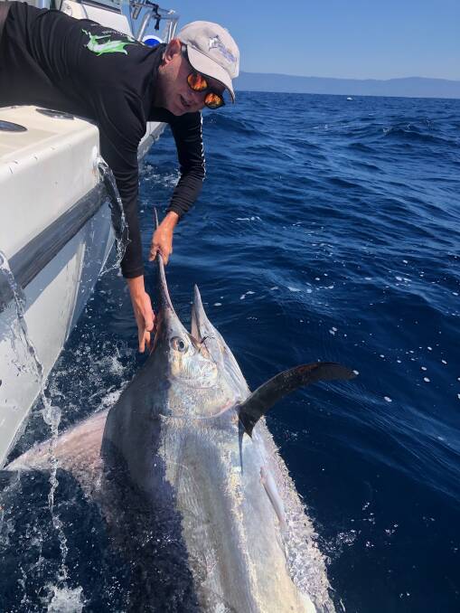 Big catch: Tyler Atkins holding onto the bill of his about to be released 60 kilogram striped marlin from last weekend.