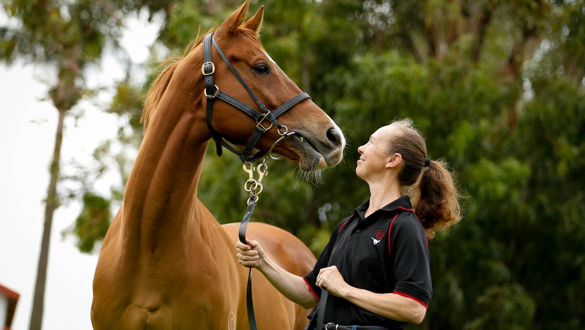 Facing up: Kembla Grange trainer Theresa Bateup is taking The Guru to Randwick on Tuesday. Picture: Anna Warr