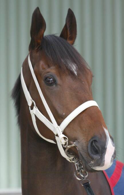 Cup full: Former Melbourne Cup runner Don Raphael. Picture: Dave Tease