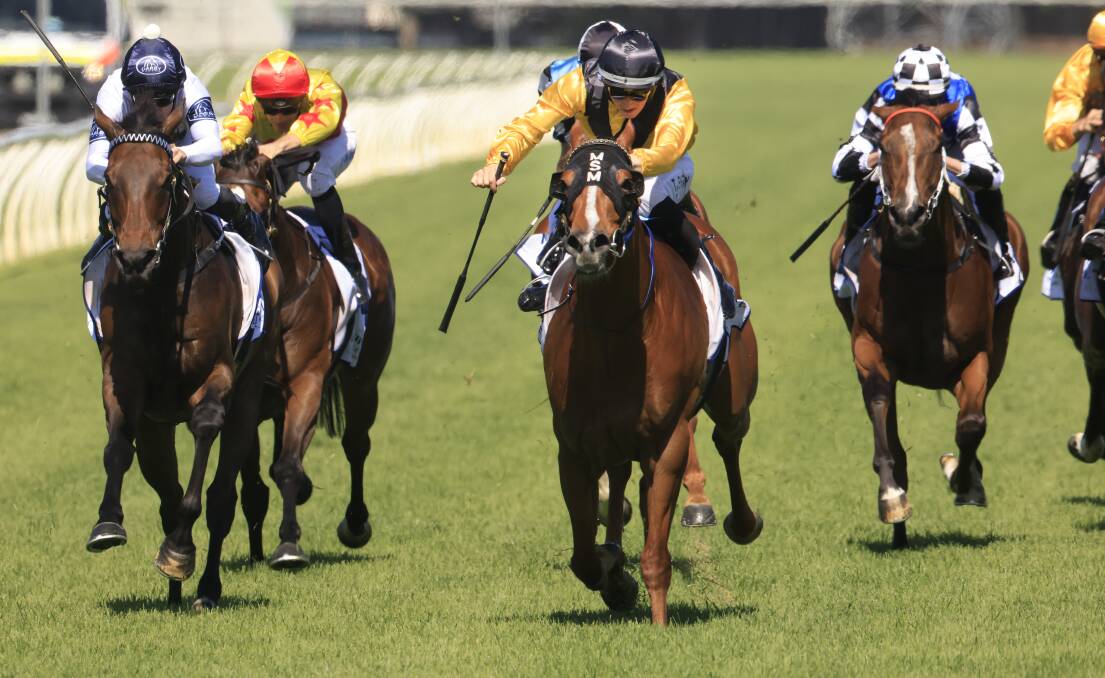 Airborne: Tom Sherry on Super wins the Hungerford Hill Benchmark 78 Handicap at Newcastle. Picture: Mark Evans/Getty Images