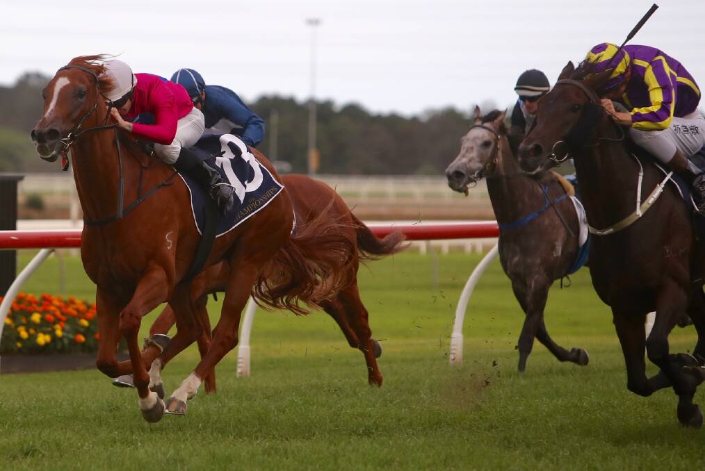 Final countdown: Electric Girl (left), with jockey Travis Wolfgram aboard, wins the Provincial Championships qualifier at Kembla Grange on Saturday. Picture: Adam McLean