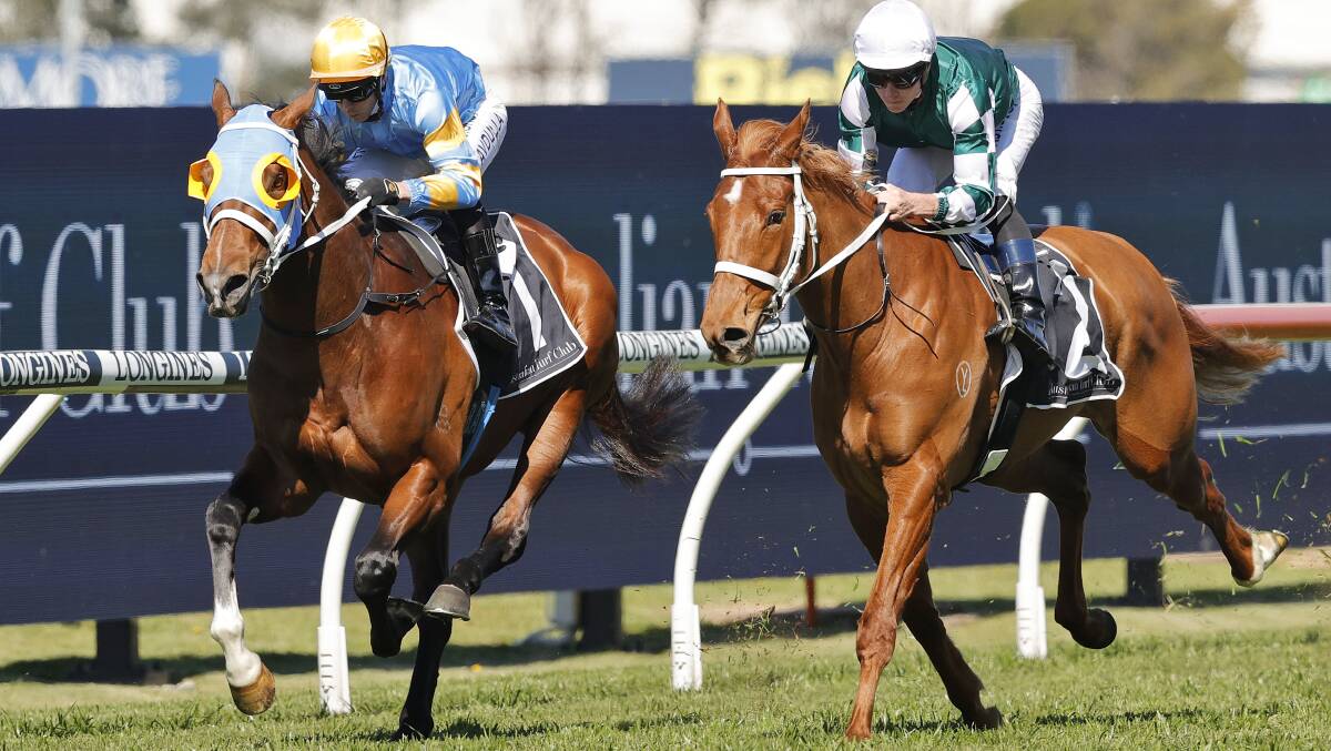 Save your legs: Reloaded, left, with Chris Waller stablemate Hungry Heart during an exhibition gallop. Waller will send Reloaded to The Gong fresh after being a late scratching in the Hawkesbury Ladies Day Cup. Picture: Mark Evans/Getty Images