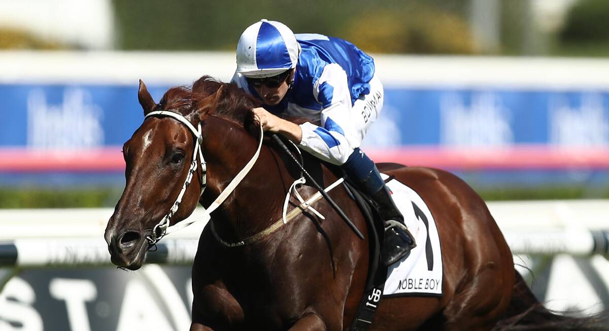 Hope: Noble Boy wins Country Championships. Picture: Mark Metcalfe/Getty Images