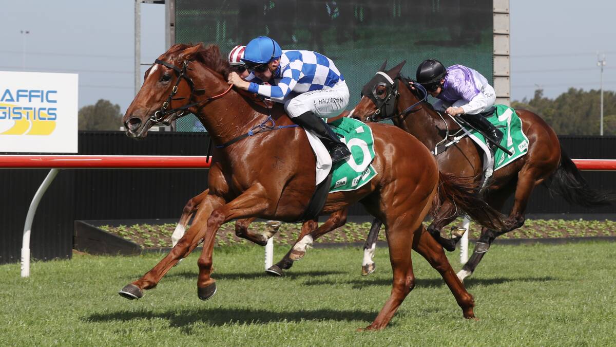 Rise in class: Either Oar won at Kembla Grange last month and proved competitive at Flemington on Thursday. Picture: Robert Peet