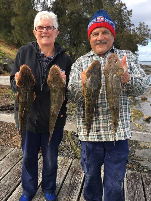 Flat out: Barbara Murphy and Ted Farrigua with a nice feed of Lake Illawarra flathead.