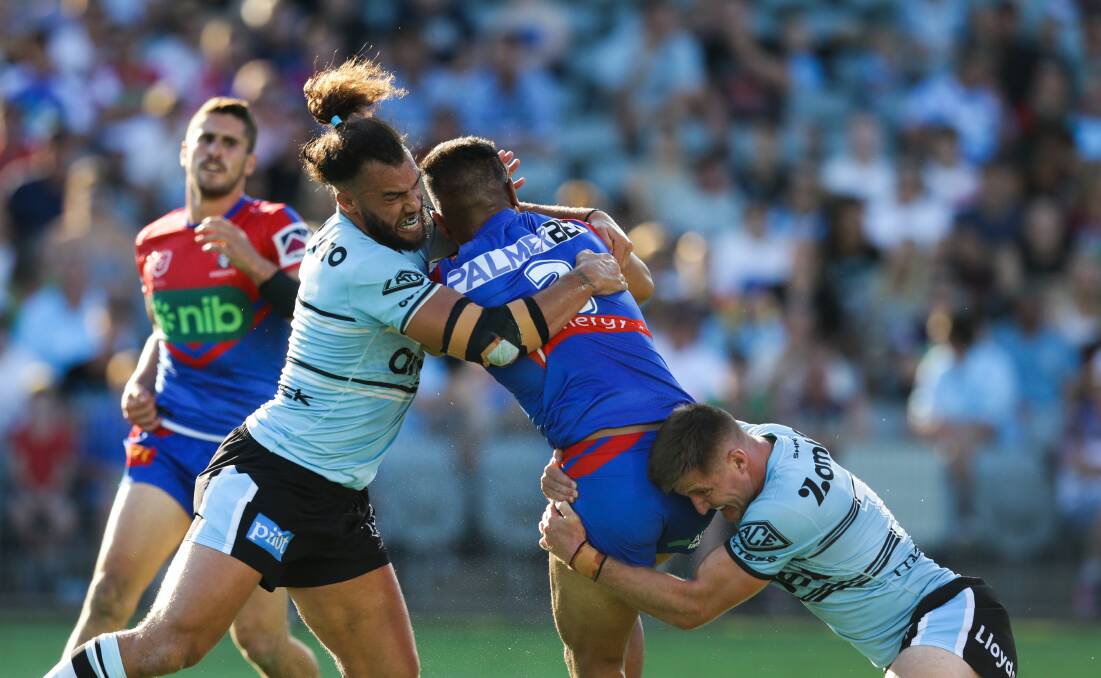 Sharks take on Newcastle in a pre-season trial. Picture by Jonathan Carroll