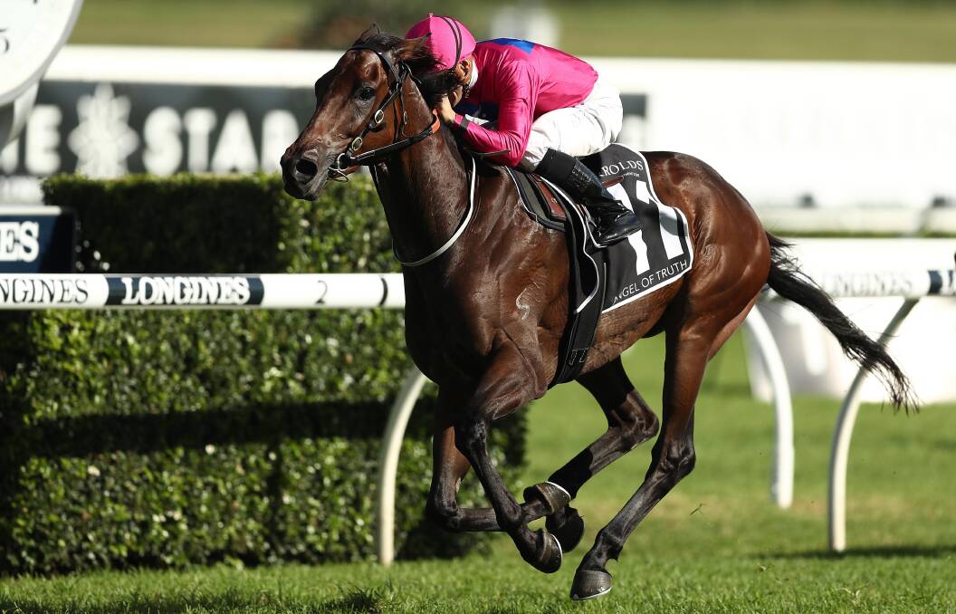 Truth be told: Last year's Australian Derby winner Angel Of Truth will return in the Apollo Stakes on Saturday. Picture: Mark Metcalfe/Getty Images