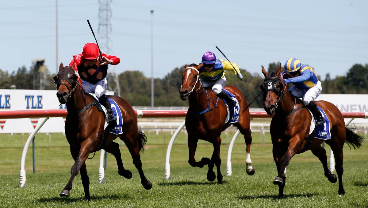 Mr Rock It (left) broke his Maiden at Kembla Grange last month. Picture by Anna Warr