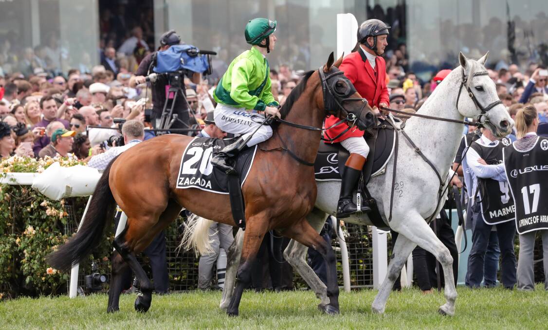 The big stage: Zacada ridden by Damian Lane on the way to the barriers prior to the Melbourne Cup at Flemington in 2018. Picture: George Salpigtidis/Racing Photos via Getty Images