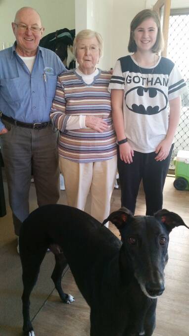 He’s a lucky boy: Retired chaser “Lucky” with the Murphy family from Dapto. Lucky found his ‘forever’ home in May, 2016.
