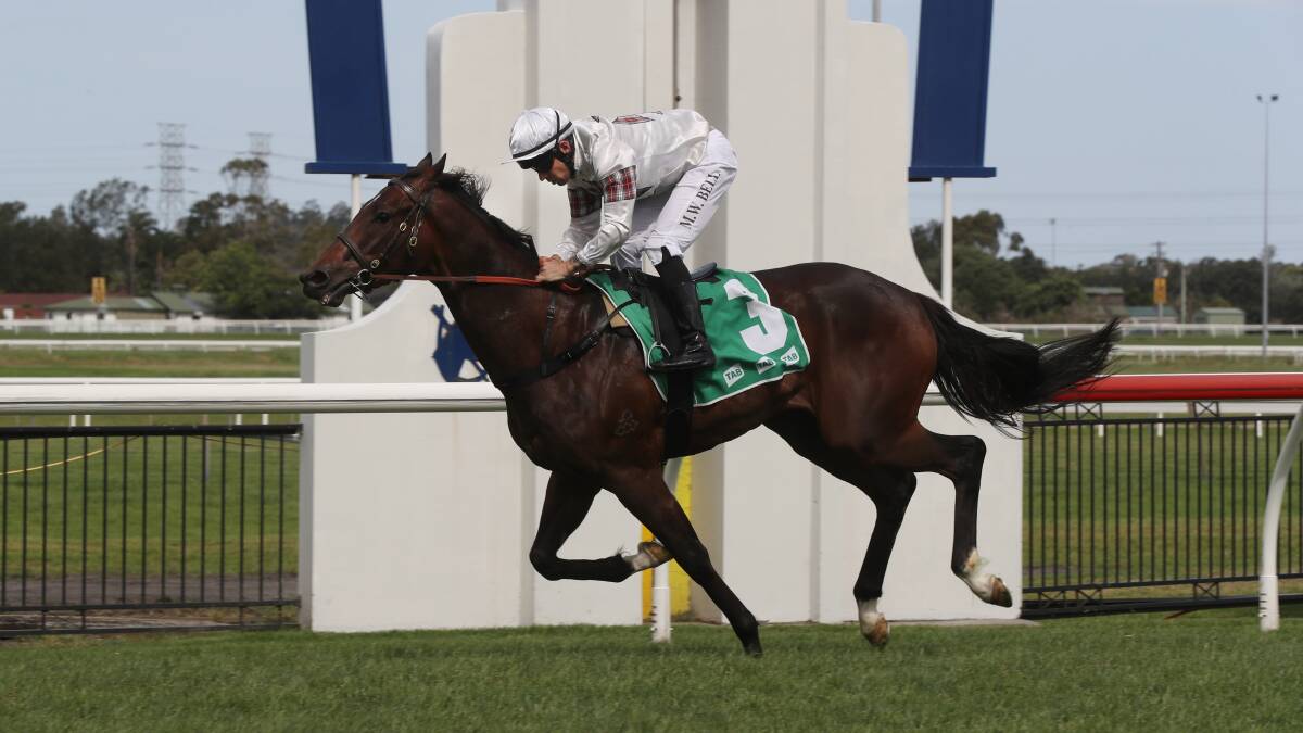 All too easy: Mitchell Bell and Count De Rupee hit the line at Kembla Grange on Saturday. Picture: Robert Peet