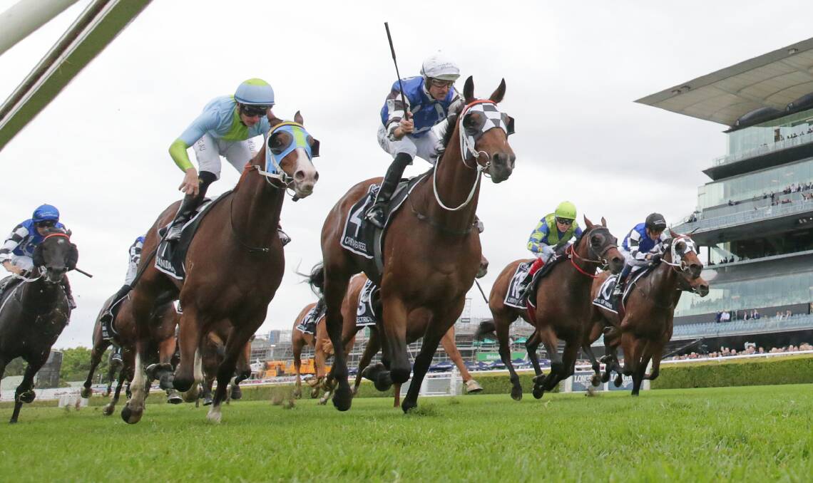 Fast finish: Liveinthefastlane (second from right) finishes third behind Cristal Breeze in the Provincial Championships final. Picture: Mark Evans/Getty