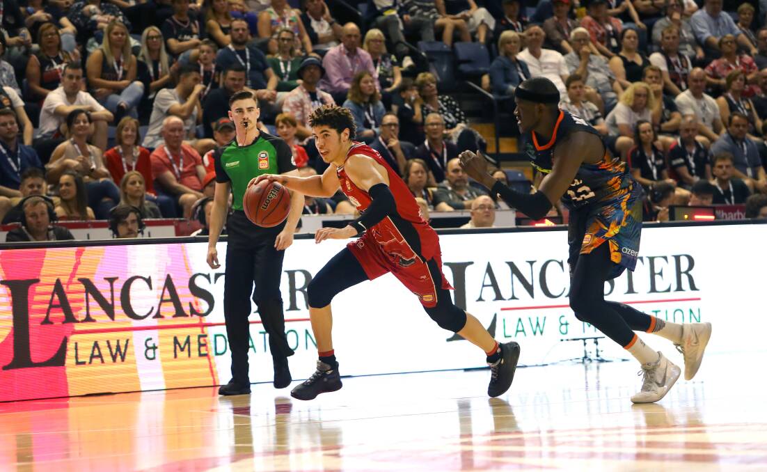 Take me on: LaMelo Ball playing for the Illawarra Hawks last season. Picture: Sylvia Liber