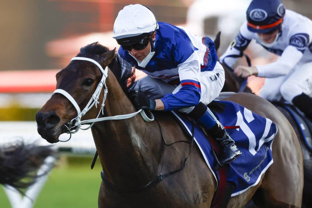 Chance: Kerrin McEvoy on Atishu. Picture: Mark Evans/Getty Images

