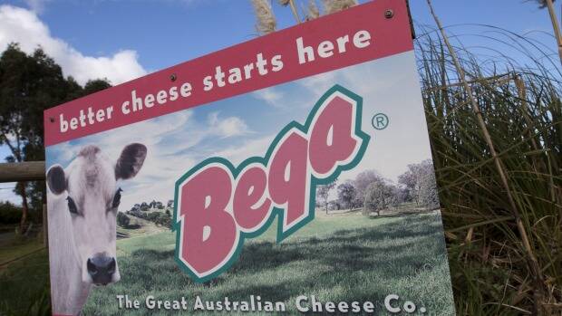 First ever Bega Cheese factory strikes planned over pay dispute