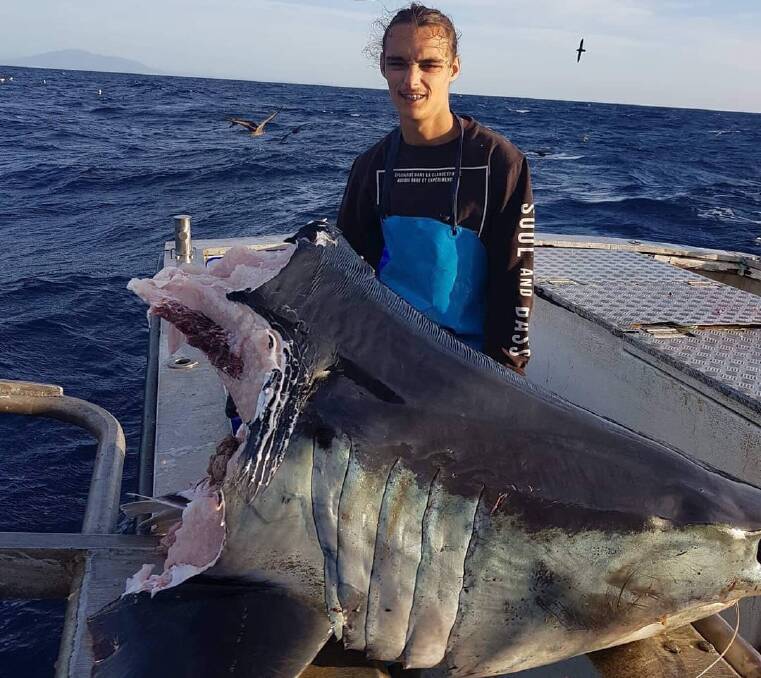 Jasper Lay said he had no idea sharks could be as large as the one pictured. Picture: Trapman Bermagui