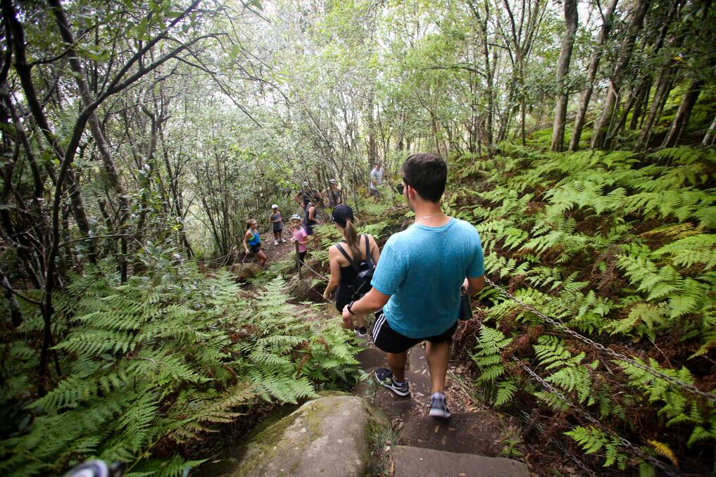 Groups of visitors prepare to cross paths on the narrow track leading to Sublime Point Lookout at Lady Fuller Park, Saturday morning. Picture: Georgia Matts