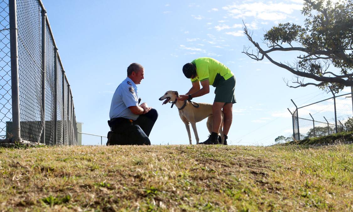WIN-WIN: Community projects overseer Mark Gallagher and an unidentified inmate take Frances the dog for a lap of the grounds at Unanderra shelter. Picture: Sylvia Liber 