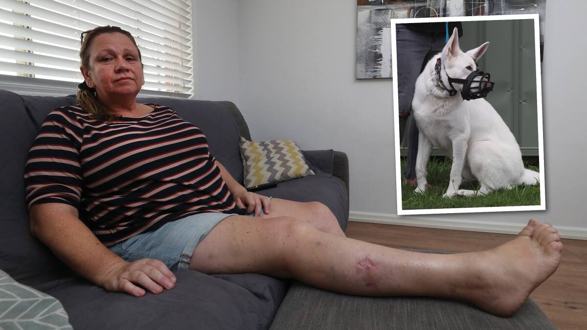 Jodi Taafe was left with a wound requiring two surgical procedures and lengthy follow-up treatment. Shadow, a white German Shepherd (pictured) has been required to wear a muzzle ever since. Picture: Robert Peet 