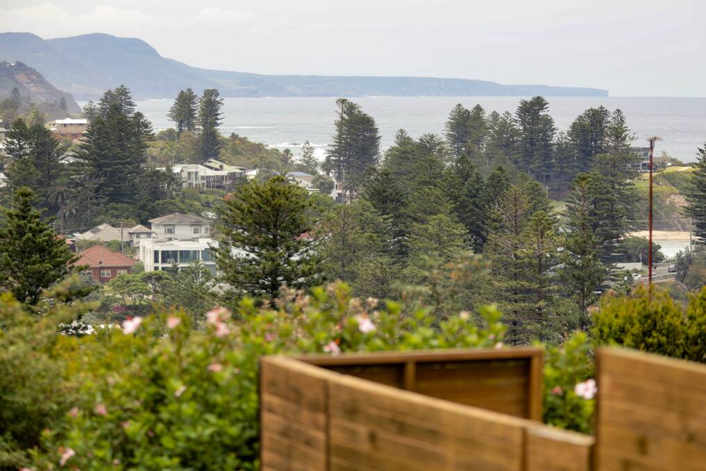 Norfolk pines, beach and ocean vistas are among the most sought-after views in the Illawarra's north. Generic picture only. This scene was not the subject of court action. Picture: Adam McLean