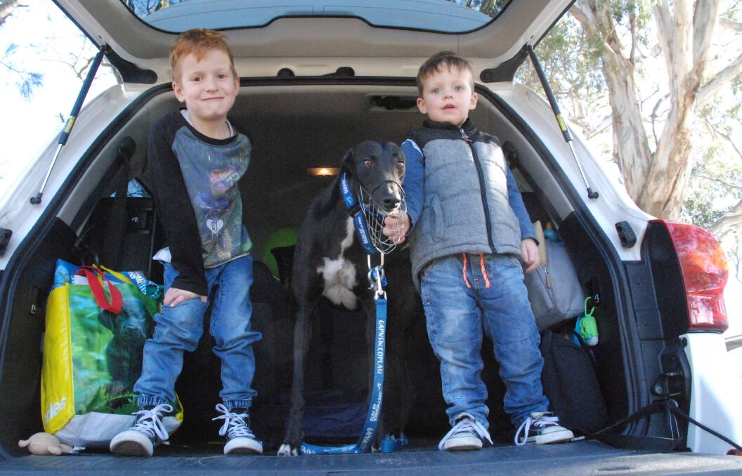 FUREVER FRIENDS: Brothers Beau and Lachlan Tedstone welcome the new addition to their family. Picture: Angela Thompson