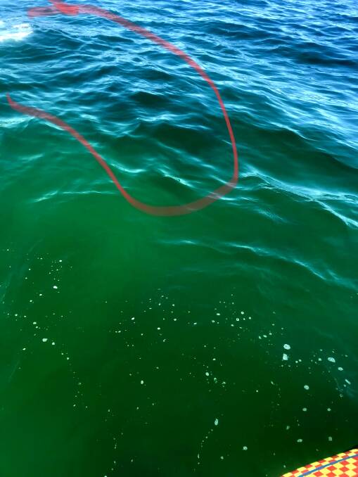A picture captured by a surf life saving volunteer, from aboard a jet ski, shows the dark outline of the shark off North Gong. Picture: Surf Life Saving Illawarra
