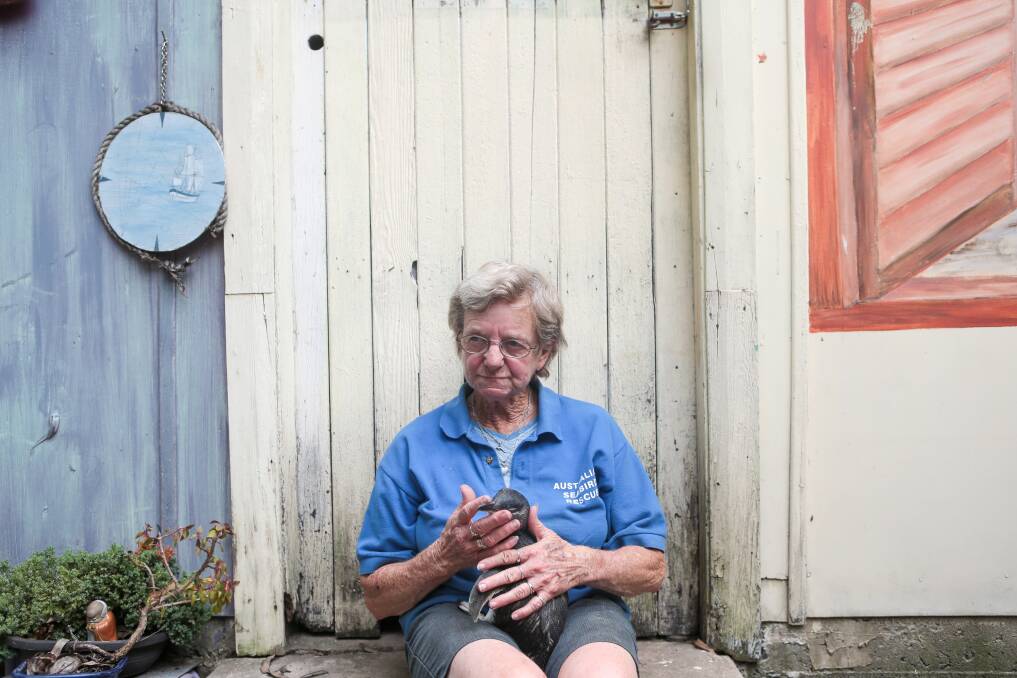 BIRD GUARDIAN: Betty Spilsted cradles an injured fairy penguin at her Berkeley home in the wake of a pelican mauling at Primbee. Picture: Adam McLean